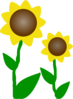 Simple Cartoon Sunflower Clip Art